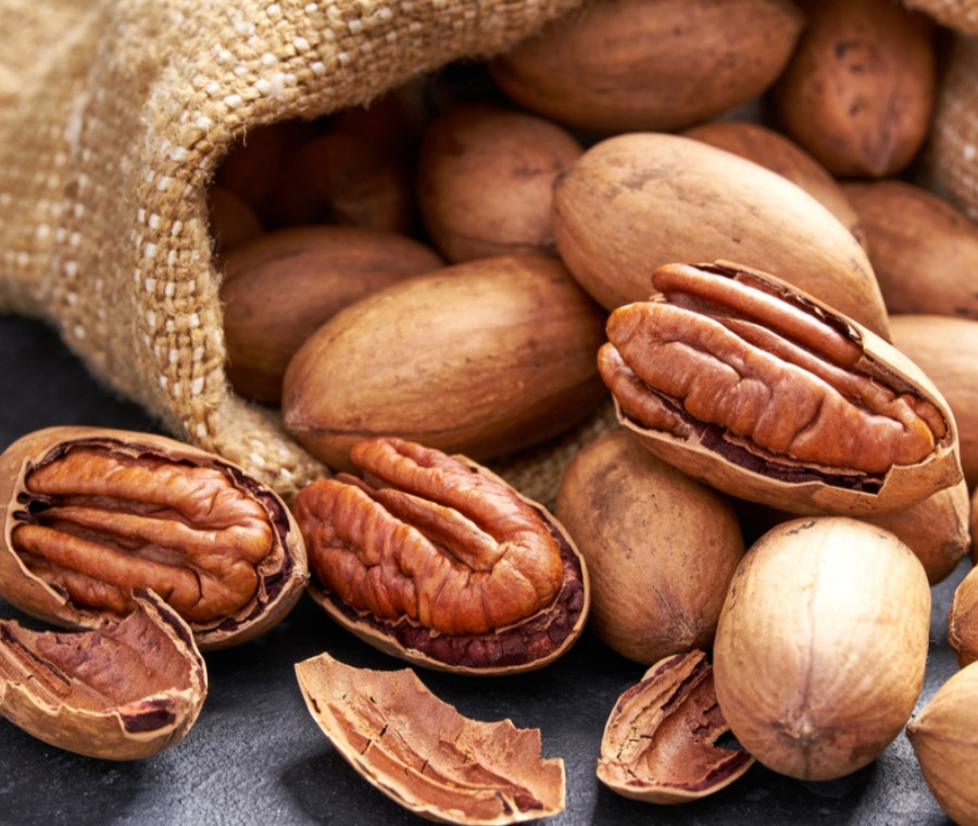 NOCI PECAN IN GUSCIO prodotti in SALENTO